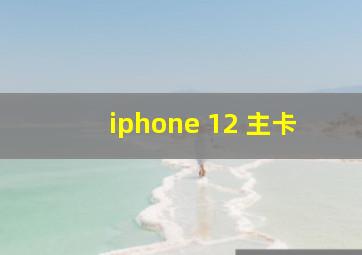 iphone 12 主卡